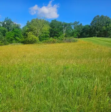 Natural Bridge Home Lots