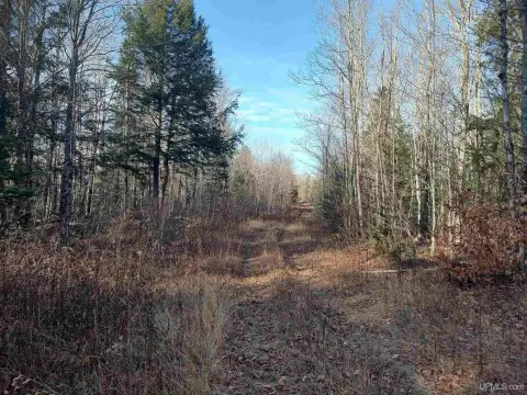 Wooded Recreational Land