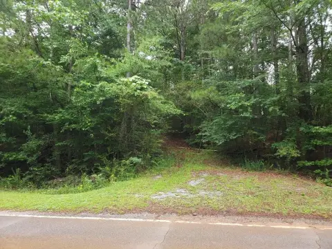 Wooded Acreage with Road Frontage