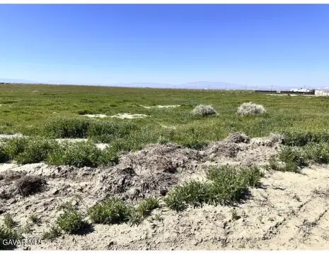 Expansive Land Lot Opportunity