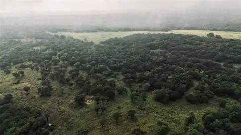 105 Acres Untouched Land Granbury