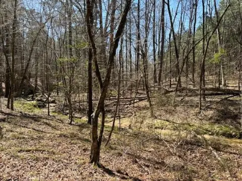 Thomson, GA Building Lot