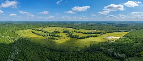 Agricultural Land with Planted Pines