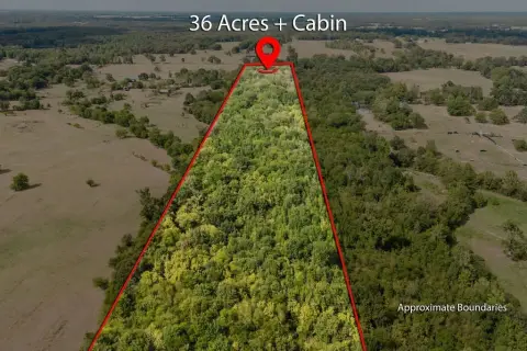 Wooded Hunting Land