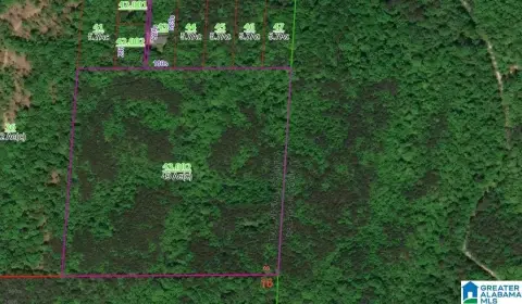 Talladega County Acreage For Sale