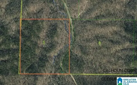 Calhoun County Acreage Bordering National Forest