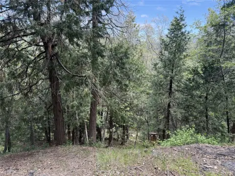 Crestline Land/Lot Opportunity