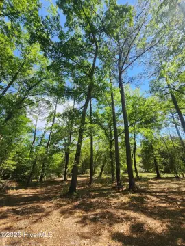 Rocky Point Land For Sale