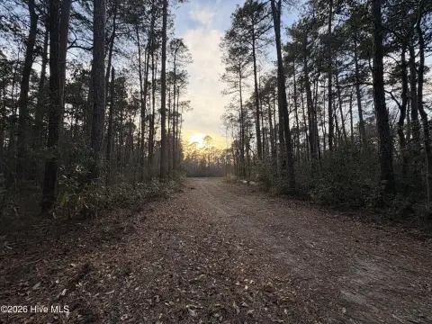 Willard, NC Land Tract