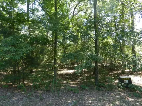 Waterfront Land in Machipongo, VA