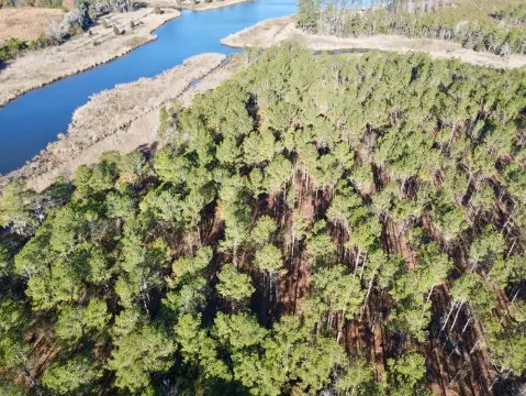 Waterfront Land with Hunting Potential