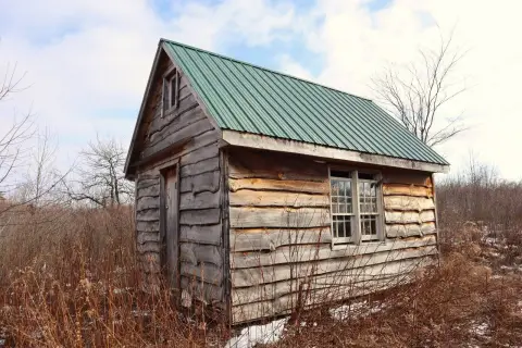 Secluded Cabin on Wooded Land