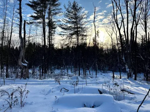 Scenic Vacant Land in Camden