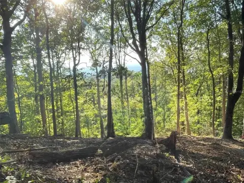 Mountain View Land in Murphy