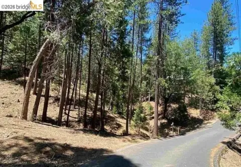 Gated Resort Home Lot with Greenbelt