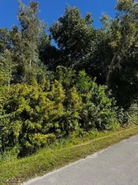 Residential Lot Near Pine Island