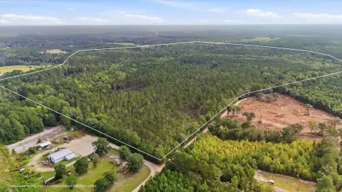 Managed Timber Hunting Land