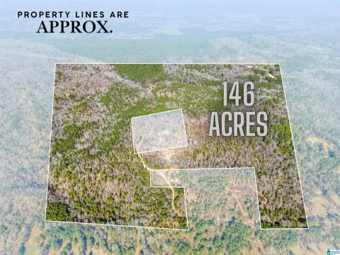 Heavily Treed Residential Acreage