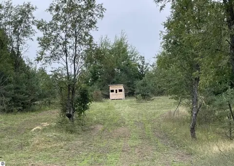 80 Acres of Vacant Land