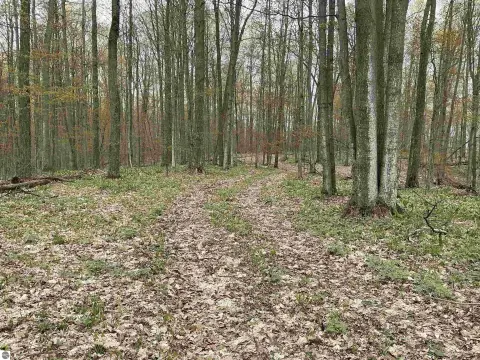 20 Acres Near Torch Lake