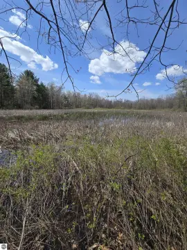 Wooded Land Parcel in White Cloud