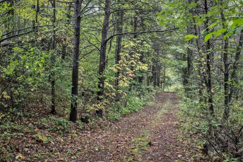 Battle Creek Land with Mature Trees