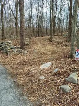 Undeveloped Woodland Land Parcel
