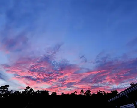 35 Acres Untouched Beauty