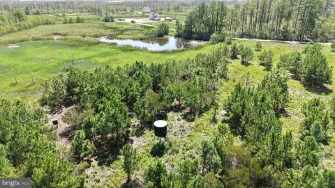 Waterfront Hunting Land with Ponds