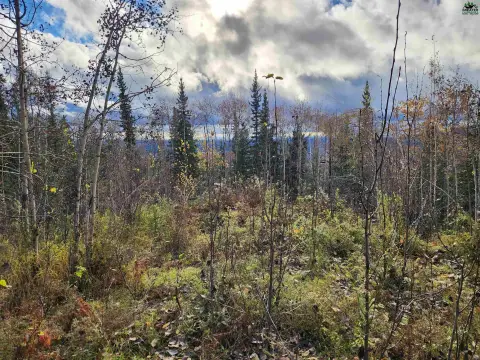 Chena Ridge View Lot