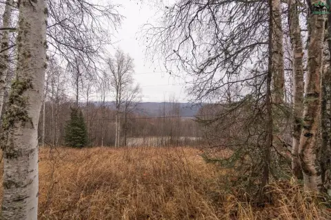 Fairbanks Land with Scenic Views