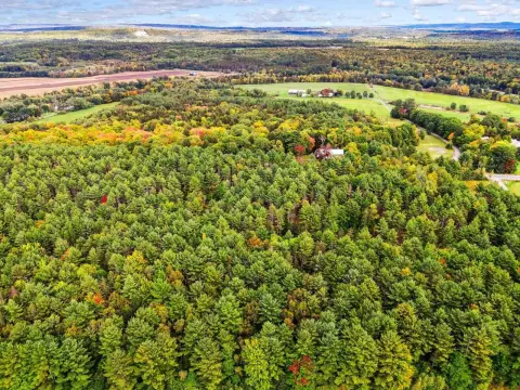 Wooded Residential Land with Route Frontage