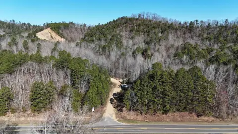 Hunting Land Along National Forest