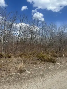 Residential Lot Near Lake Huron