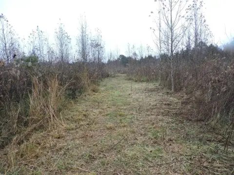 Arkansas Vacant Land For Sale