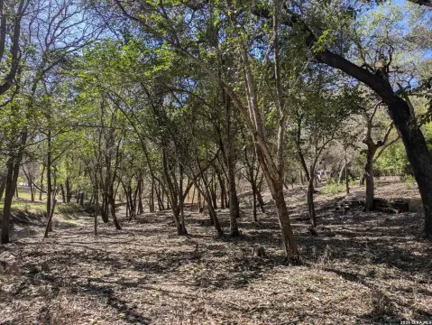 Helotes, TX Woodsy Lot