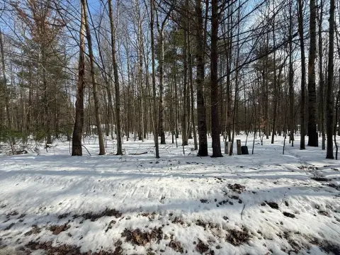 Wooded Lot in Canadian Lakes
