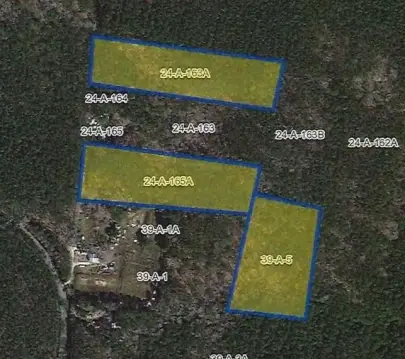 6.5 Acres of Wooded Land