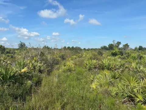 Okeechobee Land For Sale