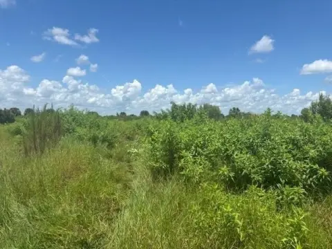 Okeechobee Land For Sale