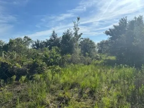 Okeechobee Land For Sale