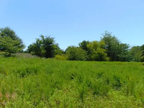 Fanshawe, OK Wooded Acreage