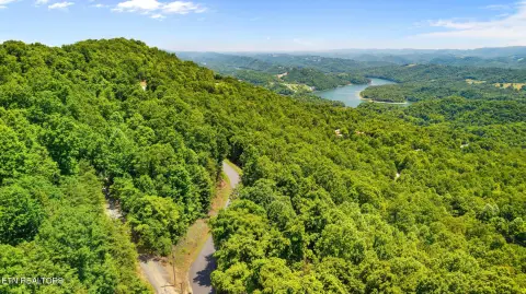 Wooded Corner Home Lot