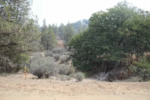 Hornbrook Land with River Access