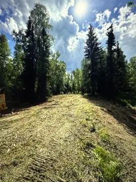 Fairbanks Land Ready to Build
