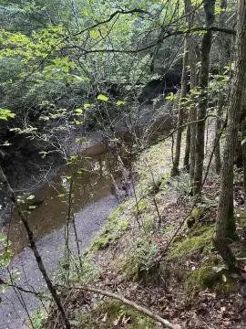 Timberland Hunting Property