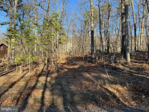Wooded Lot in Wilde Acres
