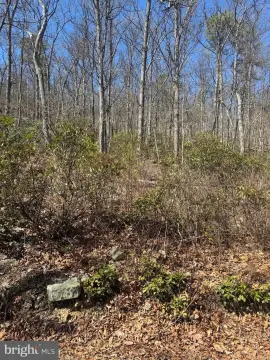 Vacant Land in Winchester, VA