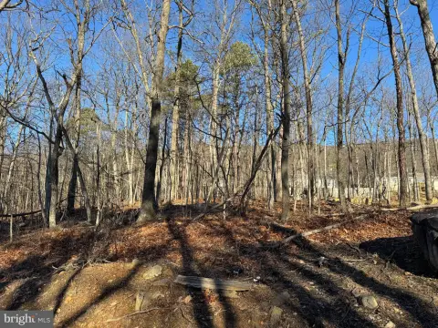 Wooded Lot in Wilde Acres
