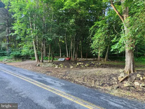 Mostly Wooded Hunting Land Parcel
